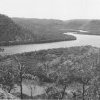 Mangrove Creek 1951